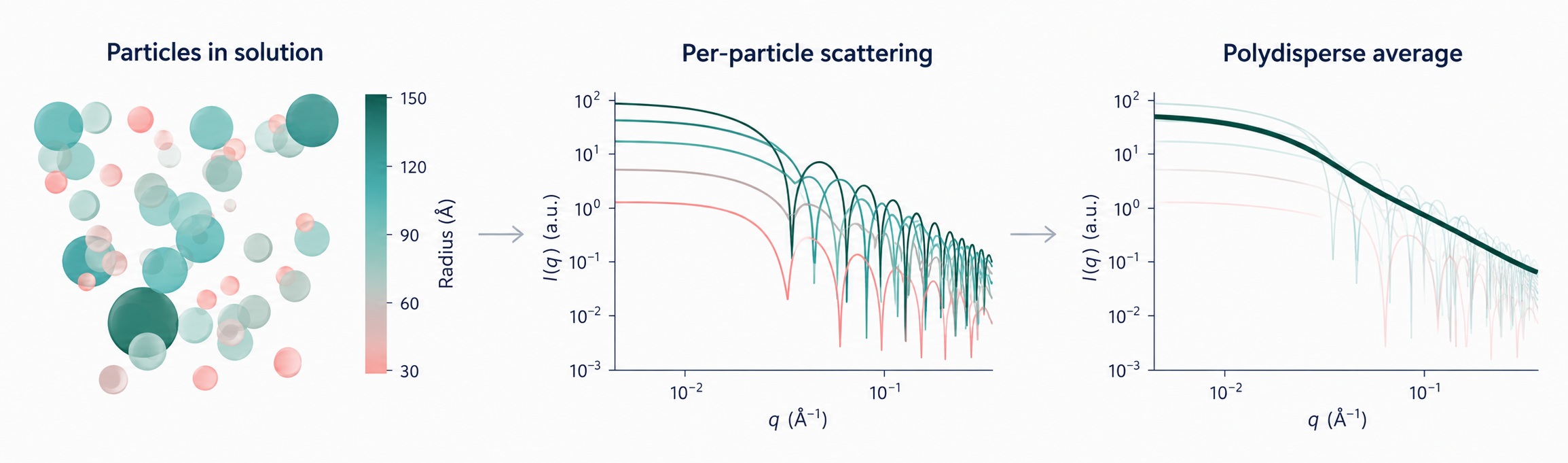 A real population contains particles at many radii. Each radius produces sharp oscillations in its SAXS intensity, at distinct q values. The polydisperse average over a log-normal size distribution smooths these oscillations into a single monotonic decay.